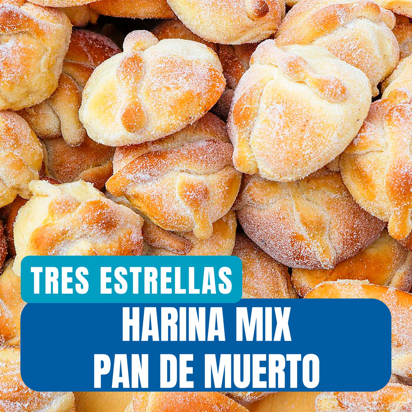 Harina Mix Pan de Muerto