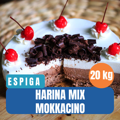 Harina Mix Pastel Mokaccino